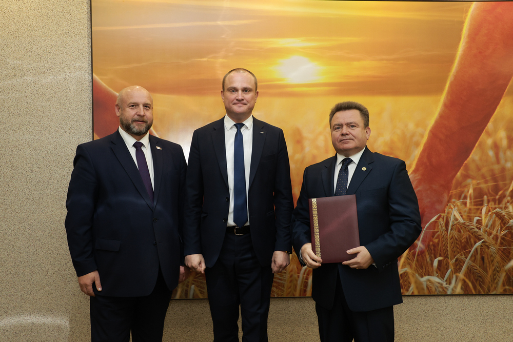 Сотрудничество