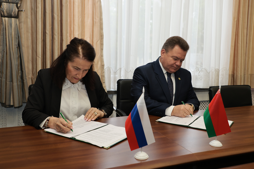 Сотрудничество