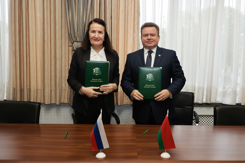 Сотрудничество