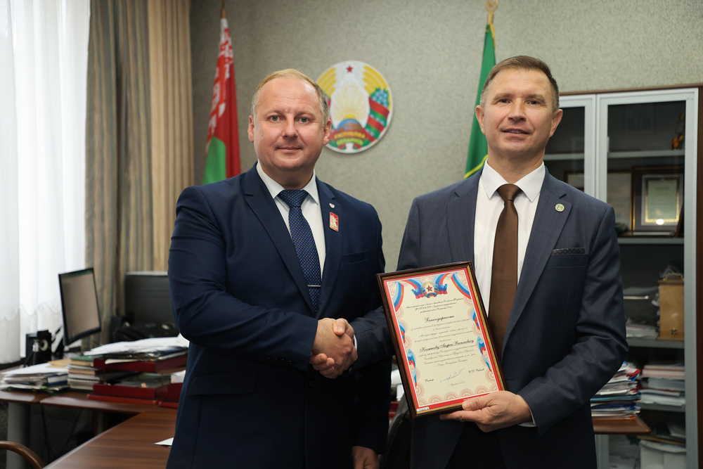 Сотрудничество