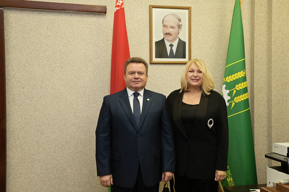 Сотрудничество