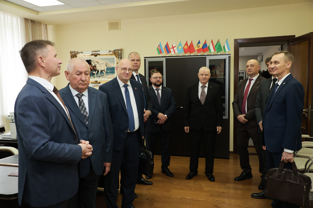 Сотрудничество