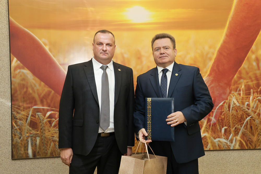 Сотрудничество