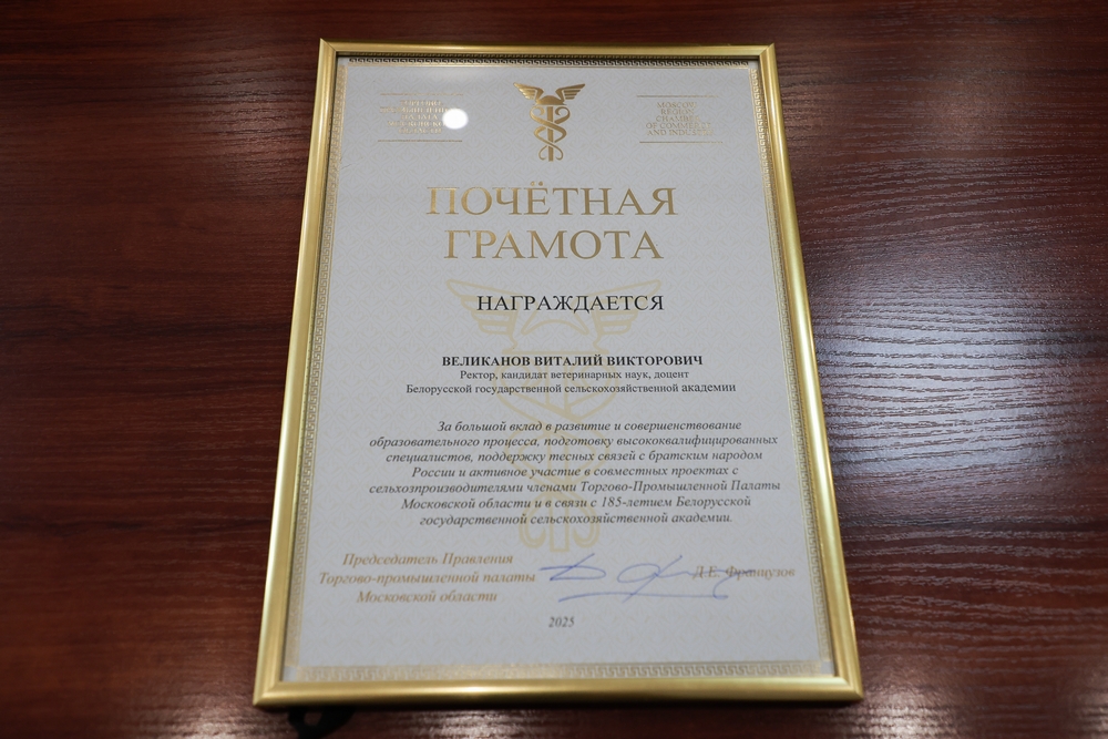 Поздравления