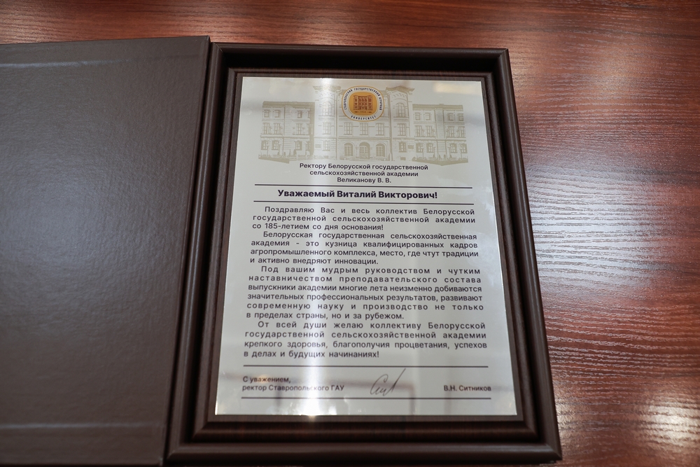 Поздравления