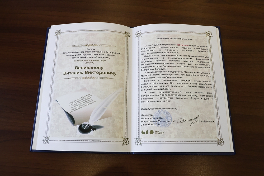 Поздравления