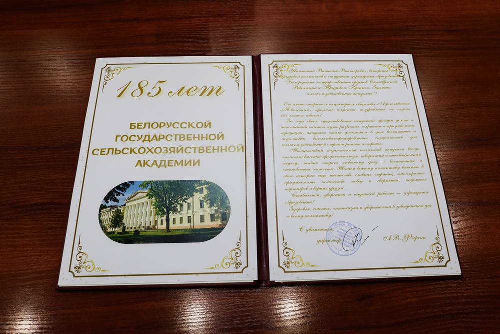 Поздравления