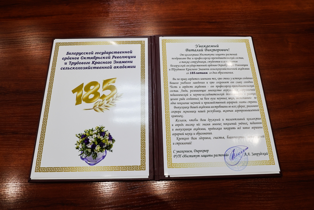 Поздравления