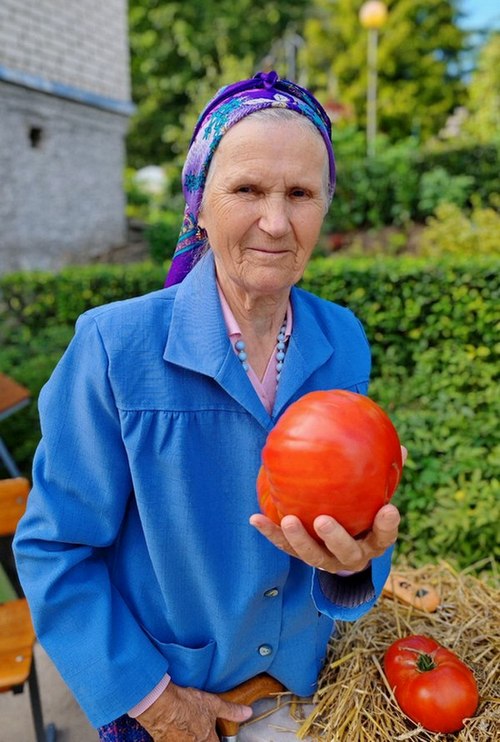 Мнения
