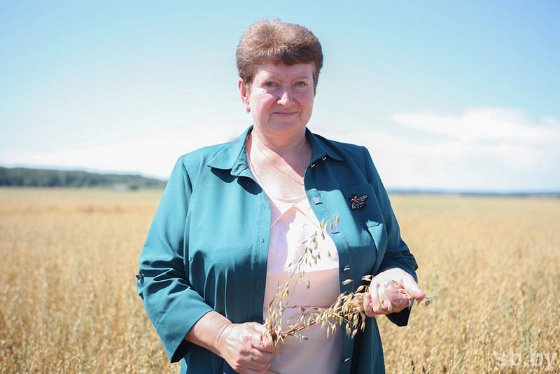 О нас пишут