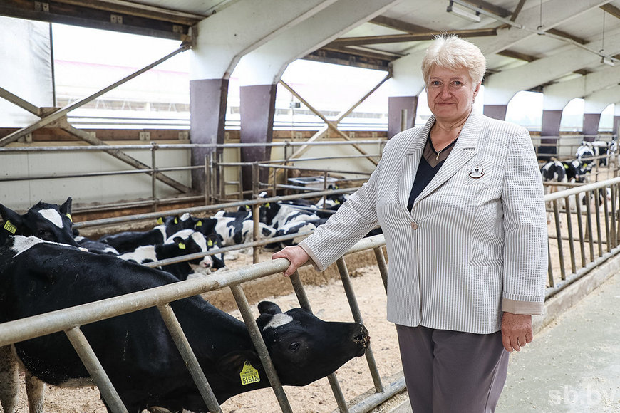 О нас пишут