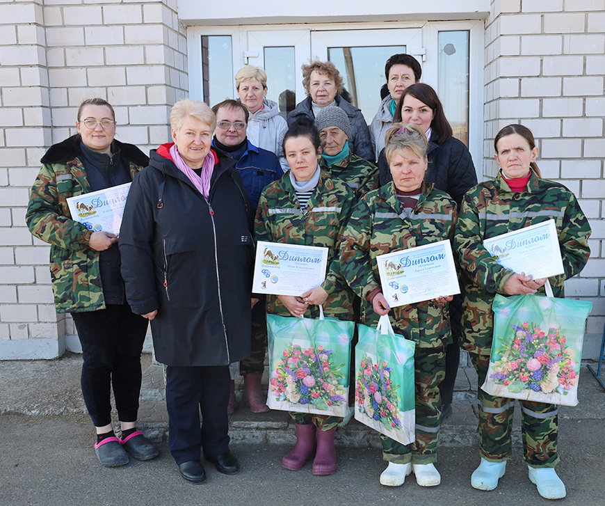 О нас пишут