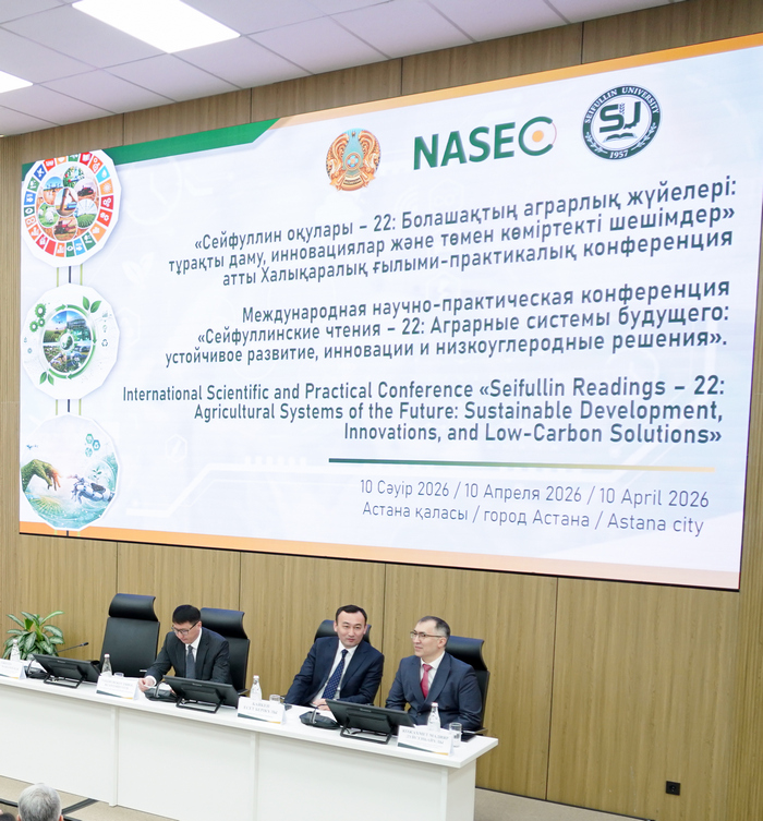 международное сотрудничество