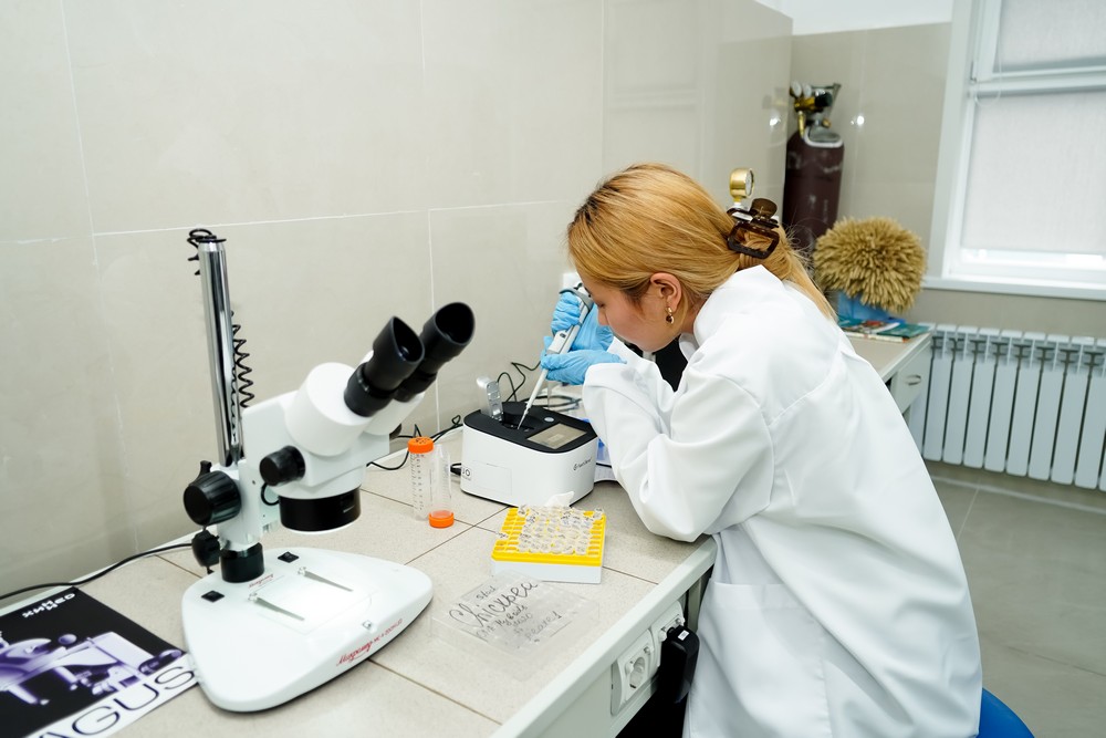 международное сотрудничество