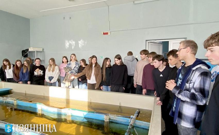 О нас пишут