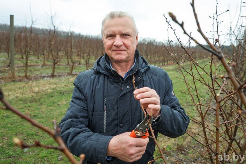 О нас пишут