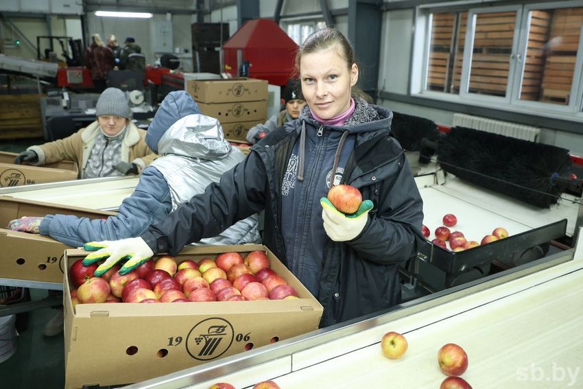 О нас пишут