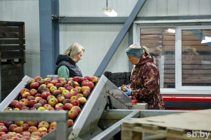 О нас пишут