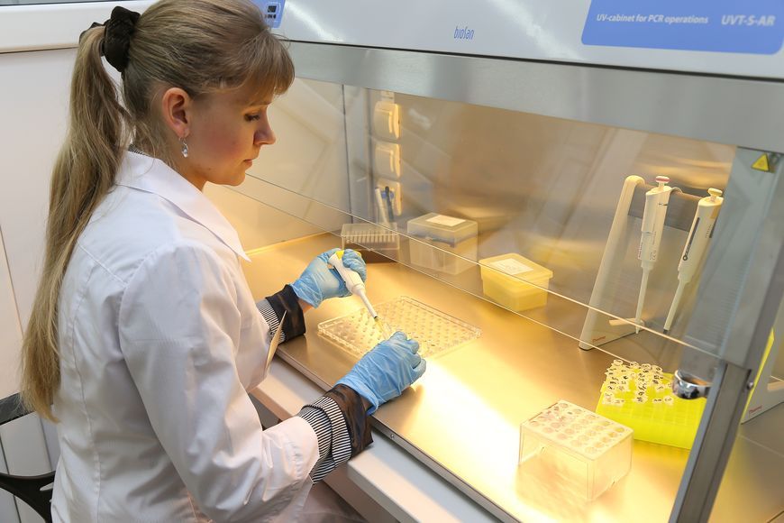 О нас пишут