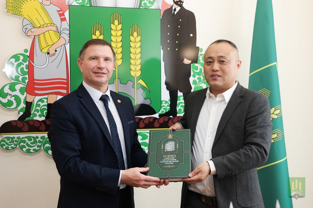 Cотрудничество