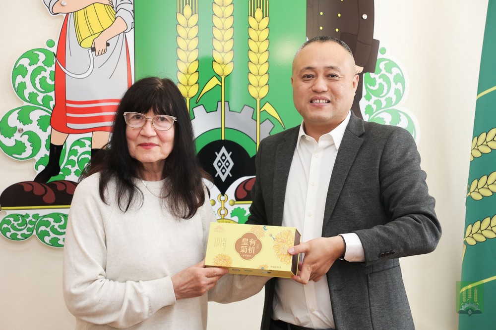 Cотрудничество