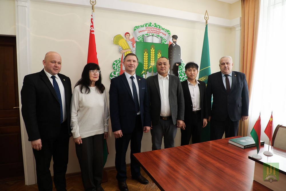 Cотрудничество