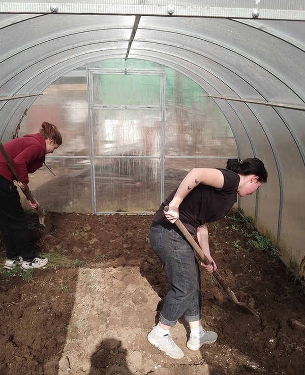 О нас пишут