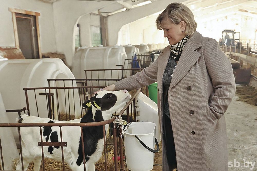 О нас пишут