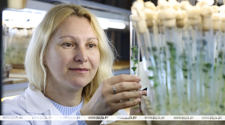 О нас пишут