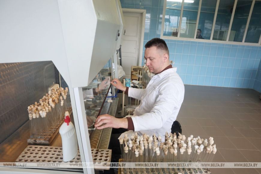 О нас пишут