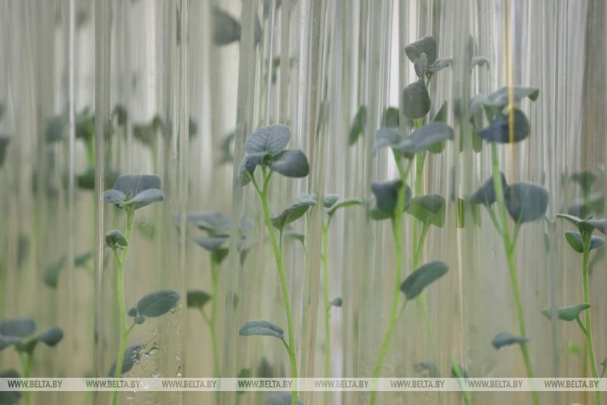 О нас пишут