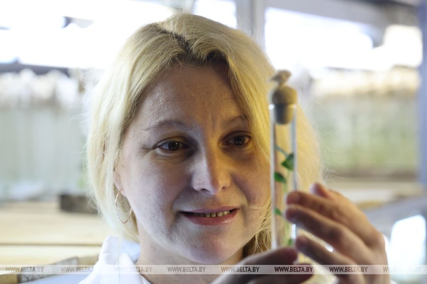 О нас пишут