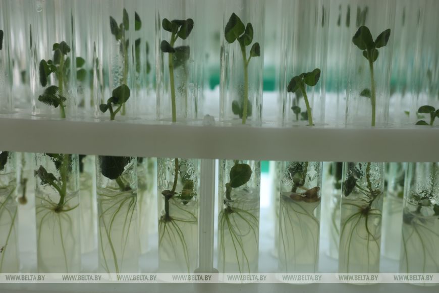 О нас пишут