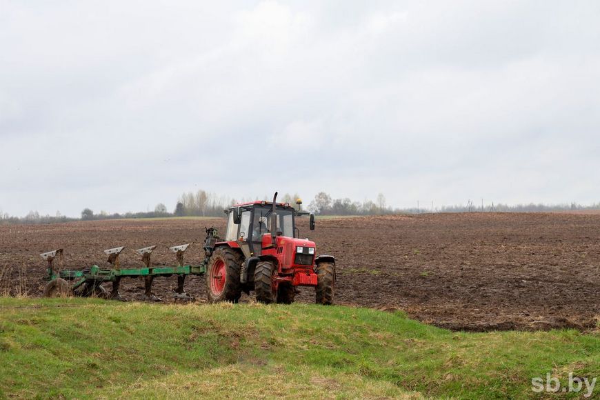 О нас пишут