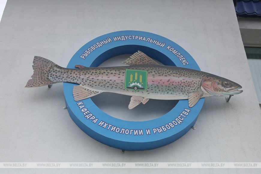 О нас пишут