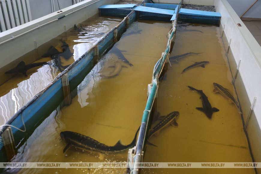 О нас пишут