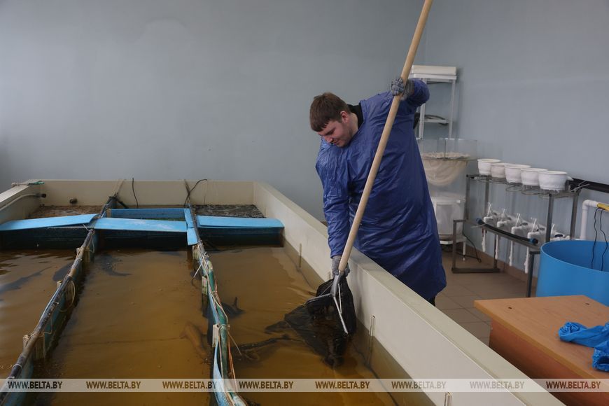 О нас пишут