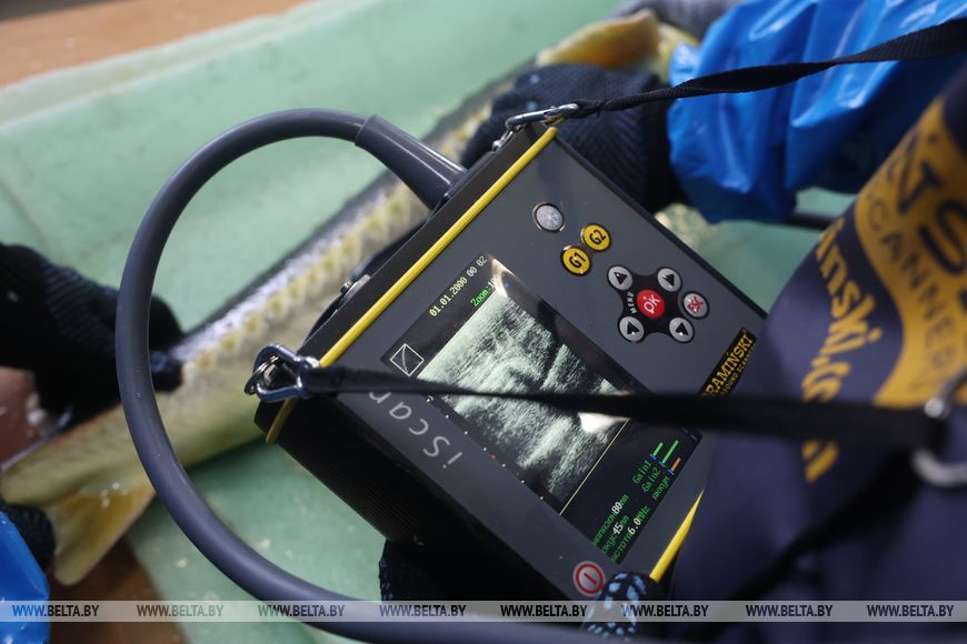 О нас пишут