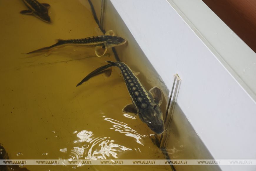 О нас пишут