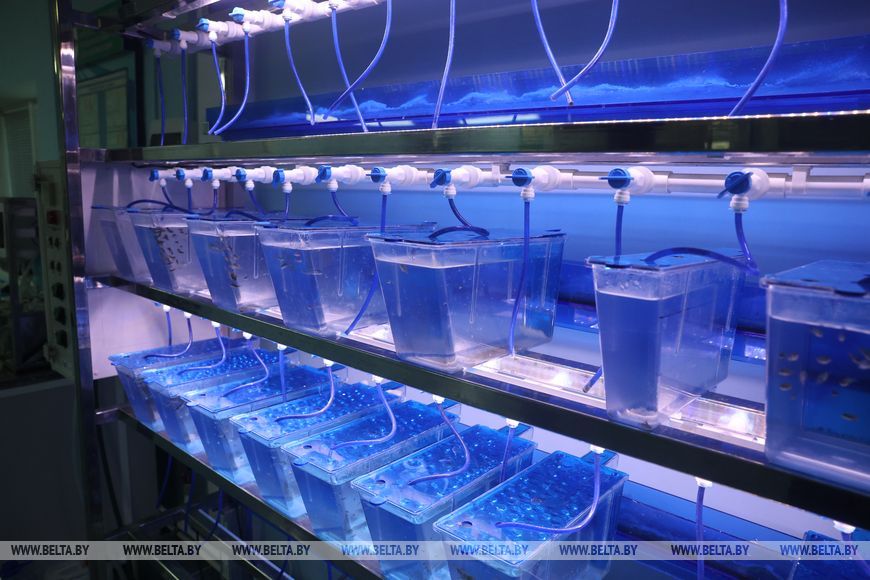 О нас пишут