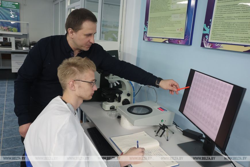 О нас пишут