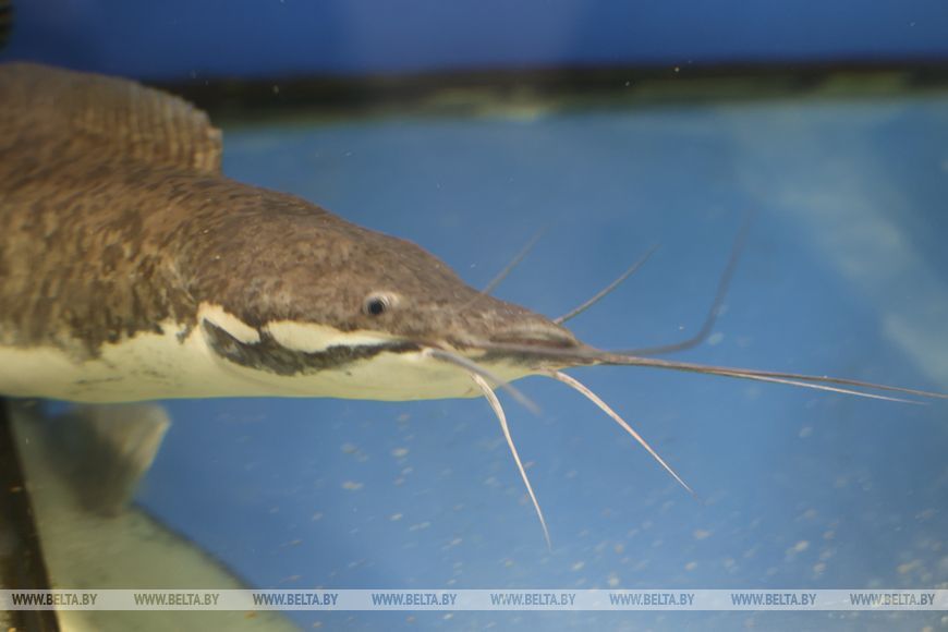 О нас пишут