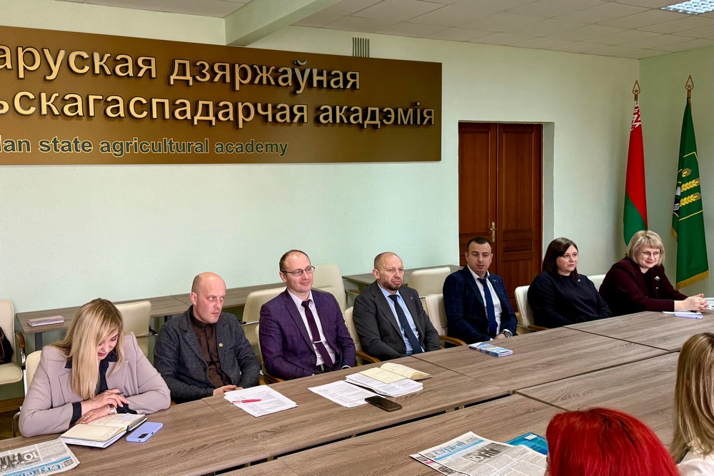 Круглый стол