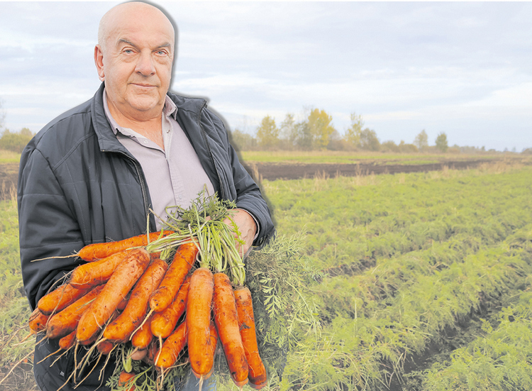 О нас пишут