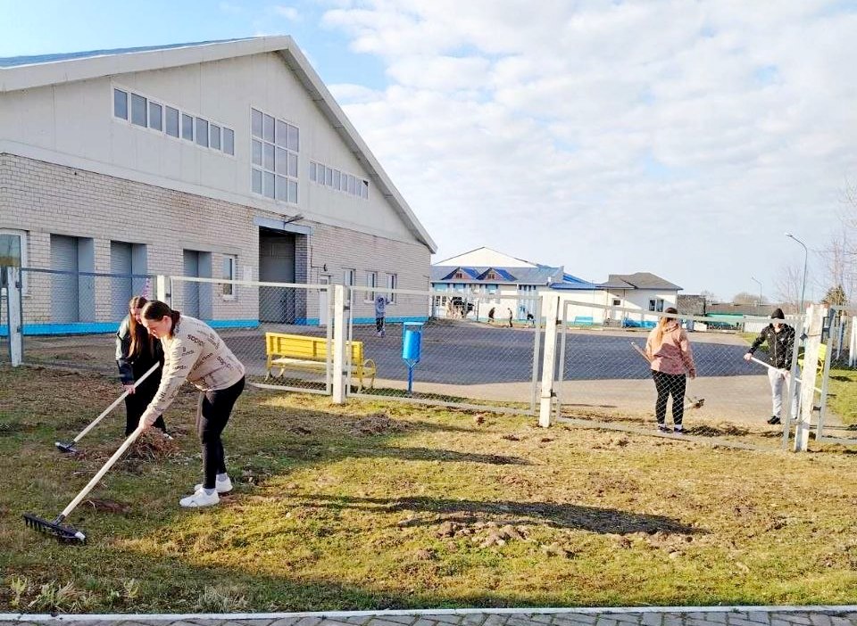 Чистый комплекс