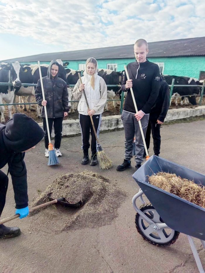Чистый комплекс