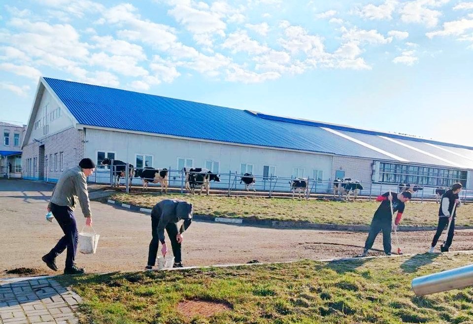 Чистый комплекс