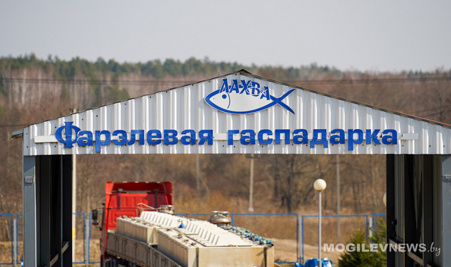 О нас пишут