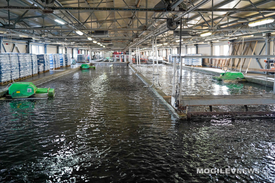 О нас пишут