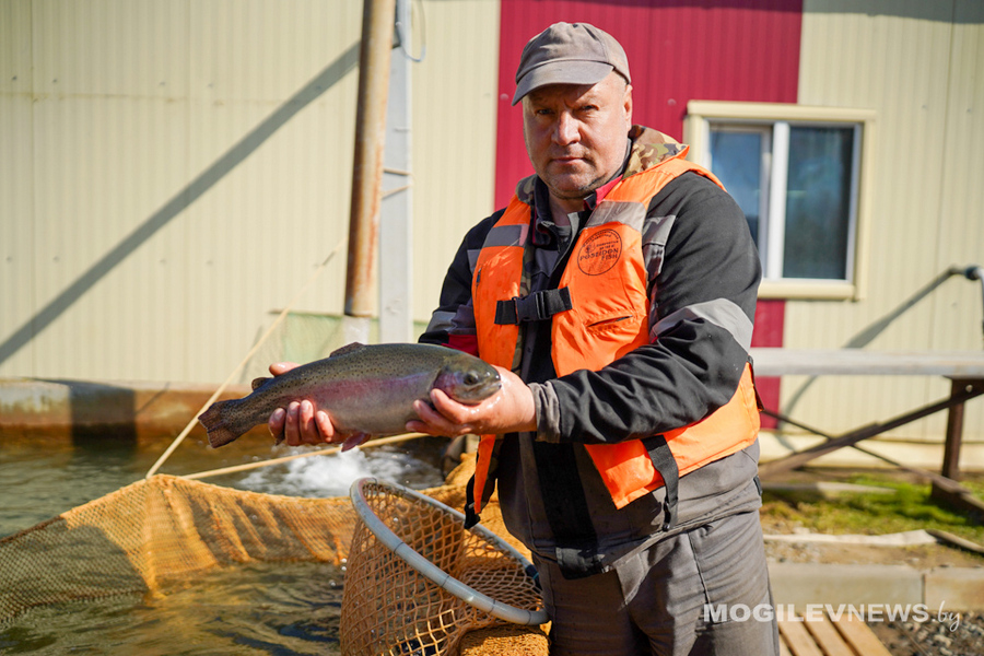 О нас пишут